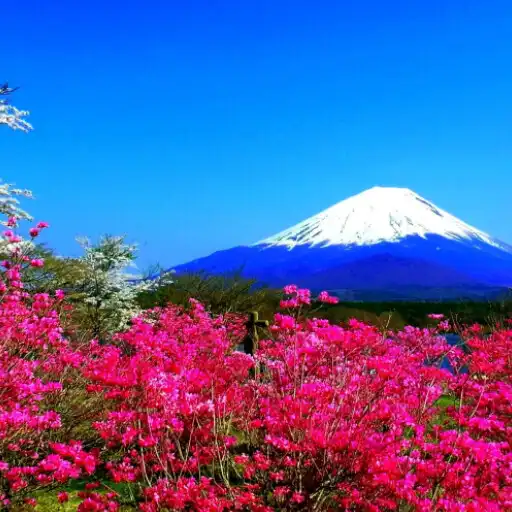 Play Wallpapers Japanese Landscapes APK
