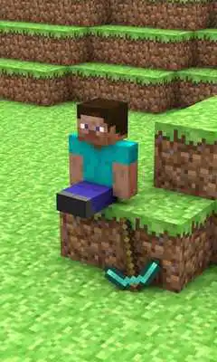 Play Wallpaper Skin For Minecraft