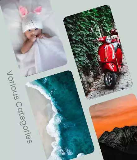Play Wallpapers - Live Wallpapers  Backgrounds  and enjoy Wallpapers - Live Wallpapers  Backgrounds with UptoPlay