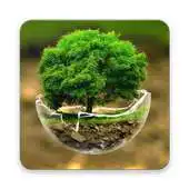 Free play online Wallpapers Nature HD APK Free play online Wallpapers Nature HD APK