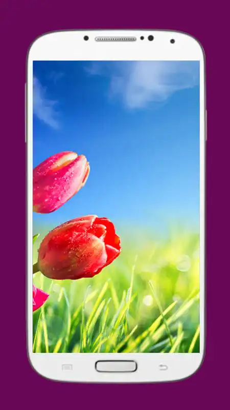 Play Wallpapers Nature HD
