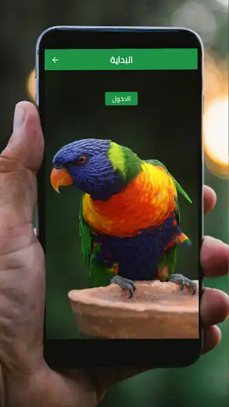 Play Wallpapers parrot lorry  and enjoy Wallpapers parrot lorry with UptoPlay