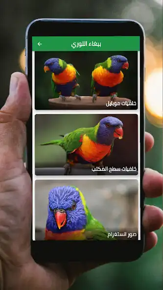Play Wallpapers parrot lorry as an online game Wallpapers parrot lorry with UptoPlay