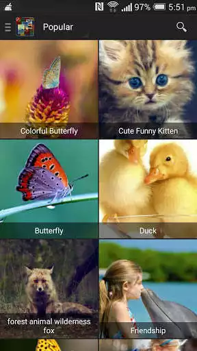 Play APK Wallpapers Premium Background  and enjoy Wallpapers Premium Background with UptoPlay com.nnc.wallpaperAPP