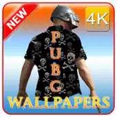 Free play online wallpapers pubg 4k APK