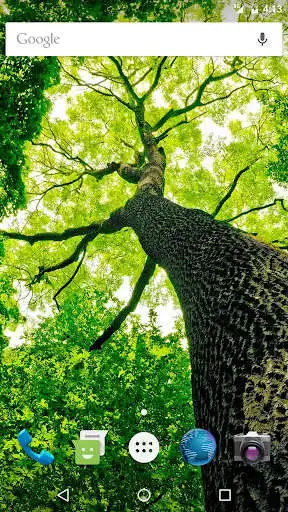 Play Wallpapers Tree and enjoy Wallpapers Tree with UptoPlay Play Wallpapers Tree and enjoy Wallpapers Tree with UptoPlay