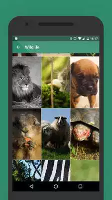 Play Wallpapers Whatsapp