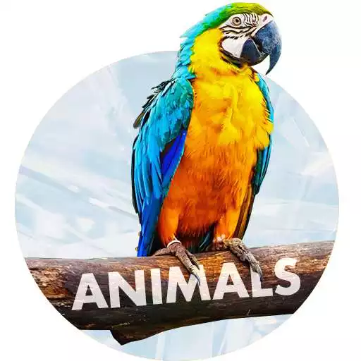 Play Wallpapers with Animals in 4K APK