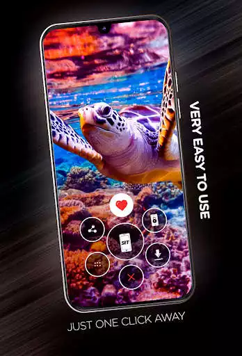 Play Wallpapers with Animals in 4K as an online game Wallpapers with Animals in 4K with UptoPlay