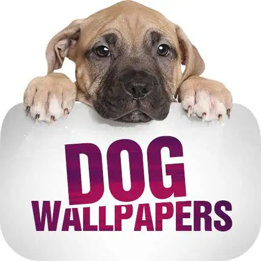 Play Wallpapers with dogs in 4K APK Play Wallpapers with dogs in 4K APK