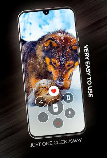 Play Wallpapers with dogs in 4K as an online game Wallpapers with dogs in 4K with UptoPlay