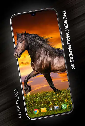 Play Wallpapers with Horses in 4K  and enjoy Wallpapers with Horses in 4K with UptoPlay
