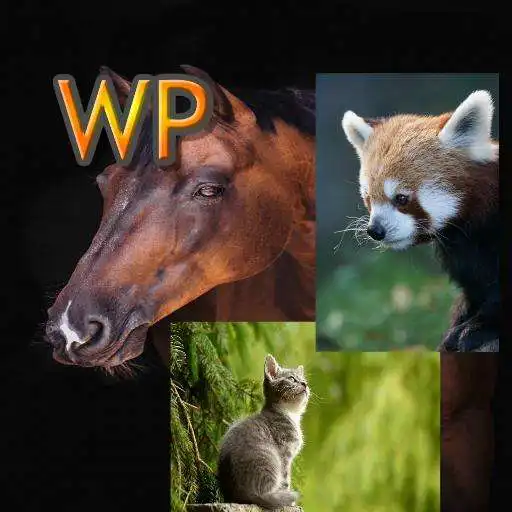 Play Wallpapers without ringtones APK Play Wallpapers without ringtones APK