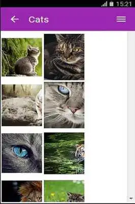 Play Wallpaper Theme