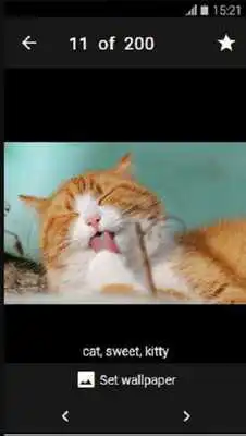 Play Wallpaper Theme