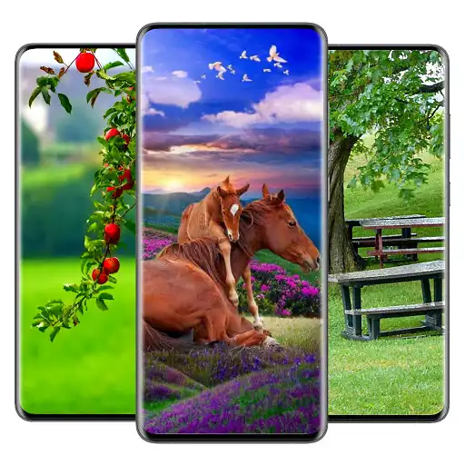 Play Wallpaper Topia APK