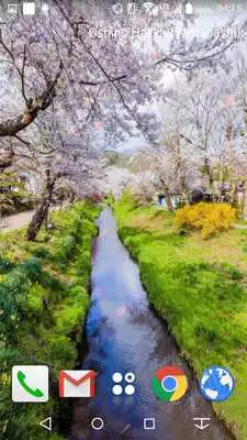 Play Wallpaper Trip(Spring)