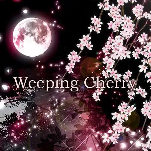 Run free android online Wallpaper Weeping Cherry Theme APK Run free android online Wallpaper Weeping Cherry Theme APK