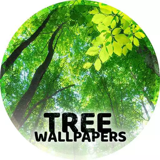 Run free android online Wallpaper with trees APK