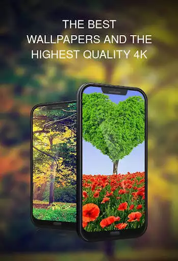 Play APK Wallpaper with trees  and enjoy Wallpaper with trees with UptoPlay com.david_wallpapers.tree