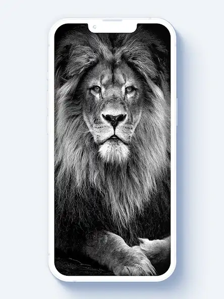 Play Wallpaper Zodiac  and enjoy Wallpaper Zodiac with UptoPlay
