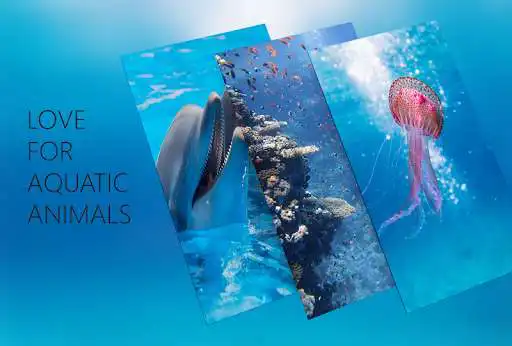 Play APK Wallpap - HD Wallpapers And Awesome Backgrounds  and enjoy Wallpap - HD Wallpapers And Awesome Backgrounds using ApkOnl