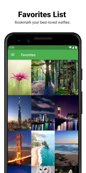 Play Wallpaxer as an online game Wallpaxer with UptoPlay