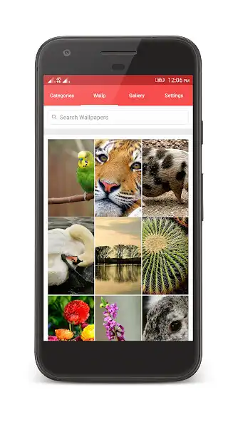 Play Wallp - HD Wallpapers as an online game Wallp - HD Wallpapers with UptoPlay