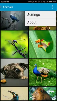 Play WallPix
