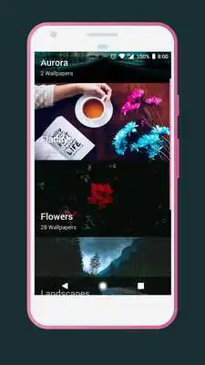 Play Walls for Chicks