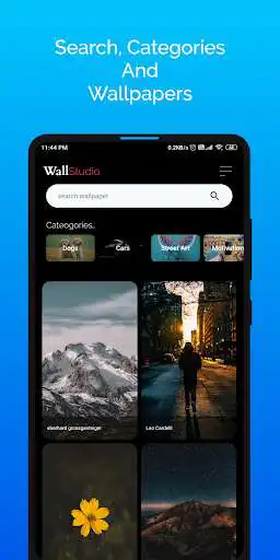 Play WallStudio as an online game WallStudio with UptoPlay