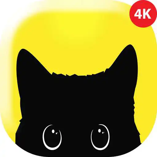 Play Wall Vibes - 4k Full HD Wallpapers APK Play Wall Vibes - 4k Full HD Wallpapers APK
