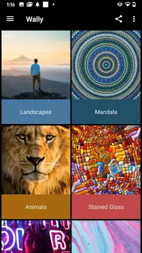 Play Wally  and enjoy Wally with UptoPlay