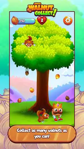 Play Walnut Junior: Collect  and enjoy Walnut Junior: Collect with UptoPlay