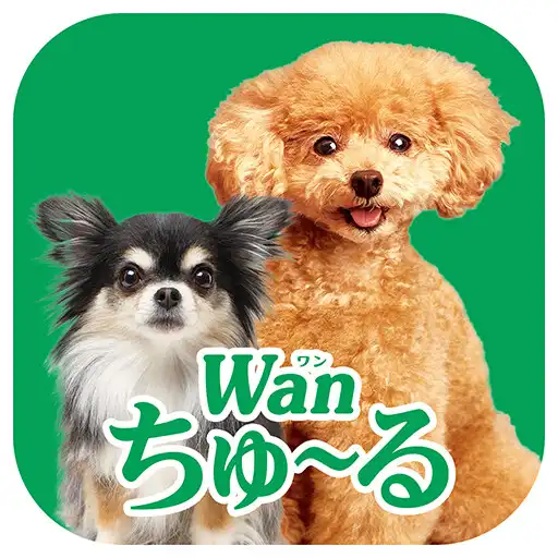 Play Wanちゅーるメーカー/ちゅ〜るCMが簡単に作れるアプリ APK