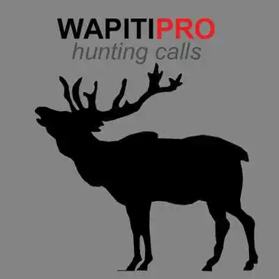 Play Wapiti Calls