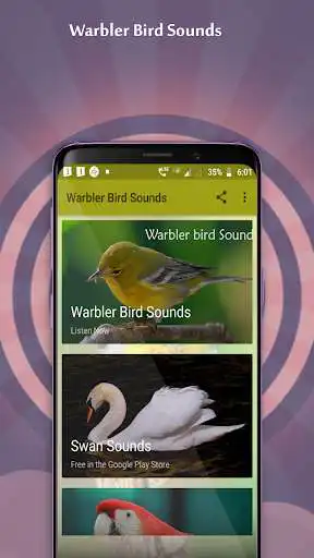 Play Warbler Bird Sounds  and enjoy Warbler Bird Sounds with UptoPlay