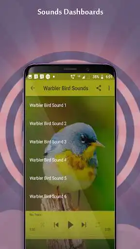 Play Warbler Bird Sounds as an online game Warbler Bird Sounds with UptoPlay