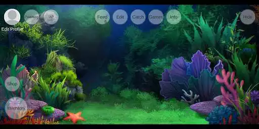 Play warna I kan and enjoy warna I kan with UptoPlay Play warna I kan and enjoy warna I kan with UptoPlay