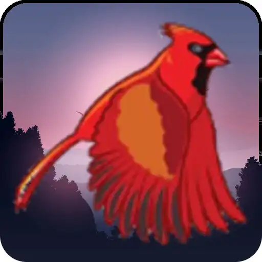 Play Warrior Bird APK