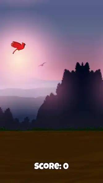 Play Warrior Bird as an online game Warrior Bird with UptoPlay