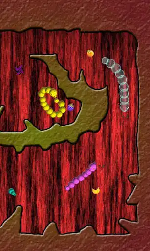 Play WarS angry snake