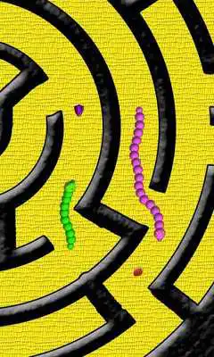 Play WarS angry snake