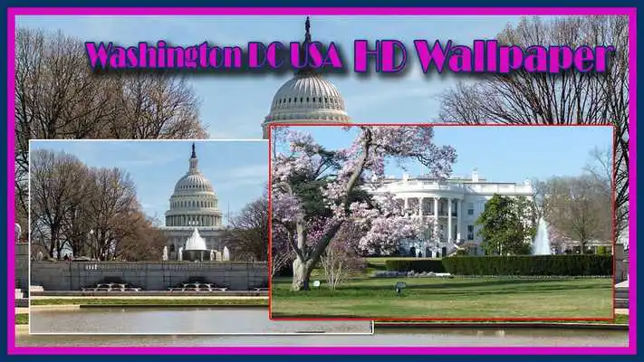 Play Washington DC USA HD Wallpaper