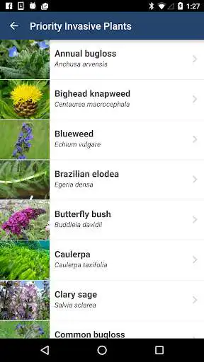 Play Washington Invasives