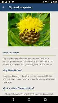 Play Washington Invasives