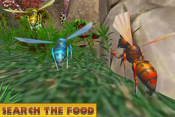 Play Wasp Insect Survival Nest Sim