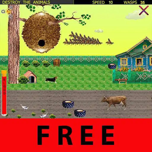 Play WASPS in BELARUS + APK Play WASPS in BELARUS + APK