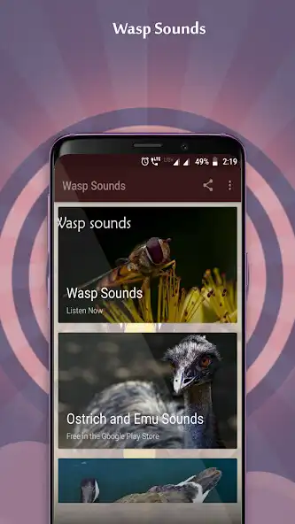 Play Wasp Sounds  and enjoy Wasp Sounds with UptoPlay