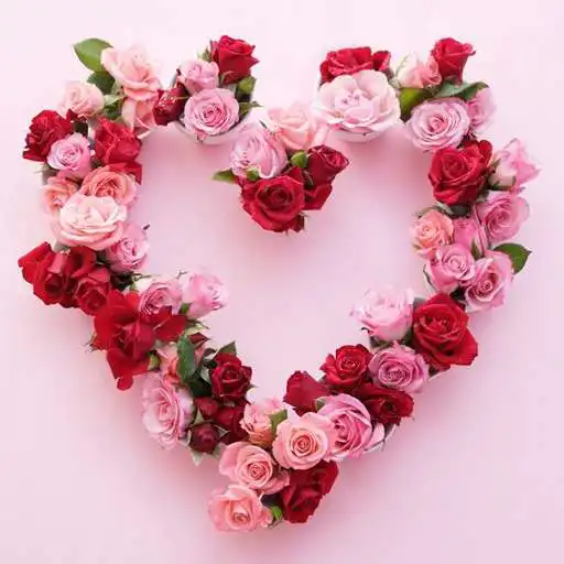 Play WAStickerApps flowers stickers and Roses stickers APK Play WAStickerApps flowers stickers and Roses stickers APK